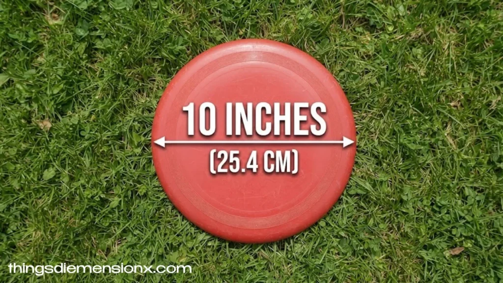 10 Inches Frisbee