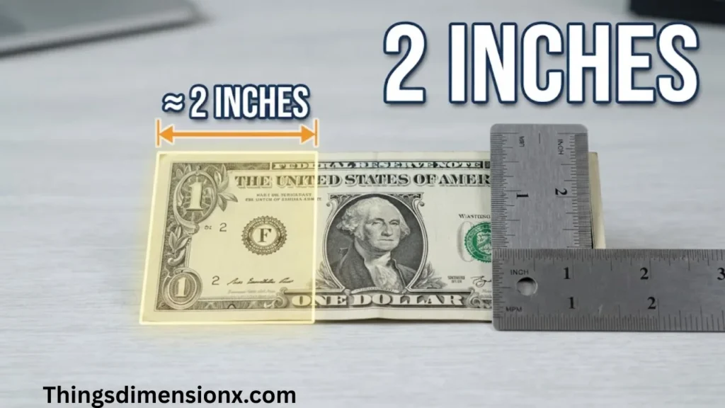 2 Inches Folded Dollar Bill