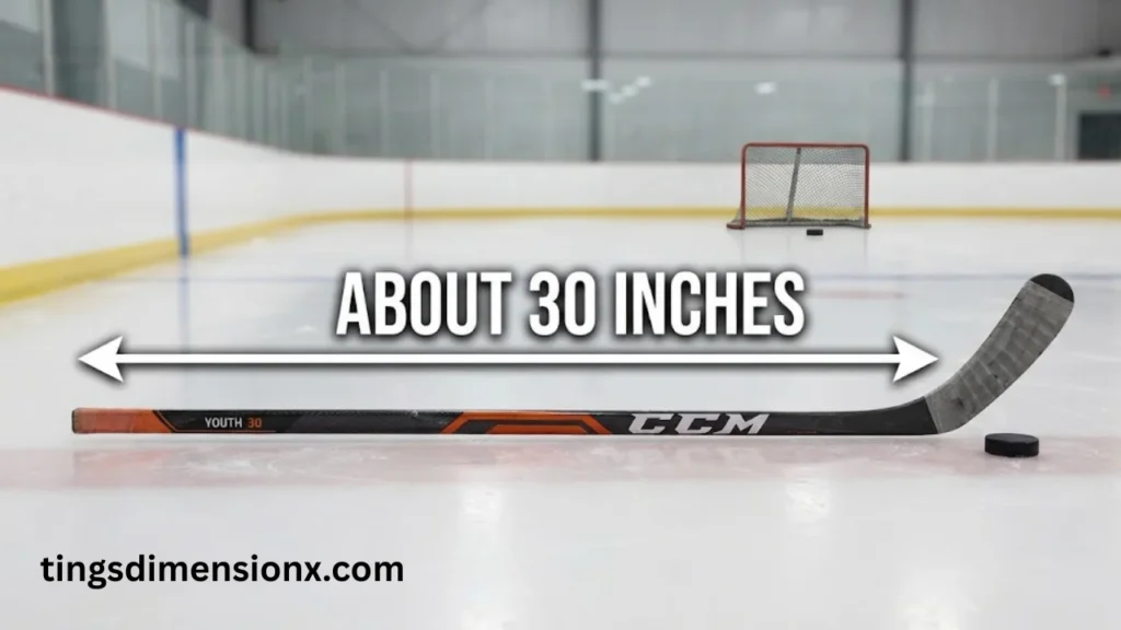 30 Inches Youth Hockey Stick