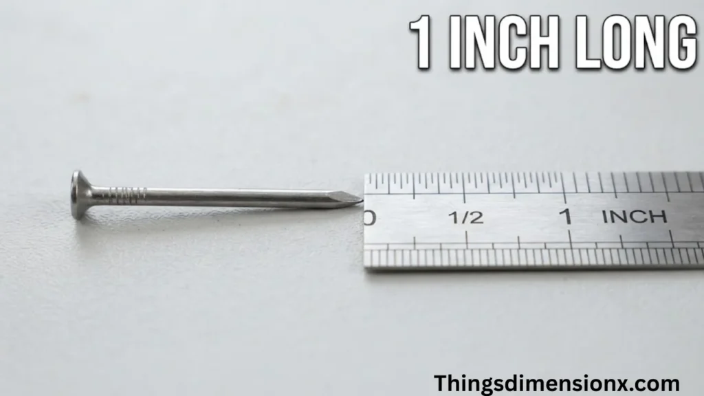 1 inch Nail or Screw