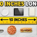 10 Inches Long: 11 Everyday Objects That Are About 10 Inches Long