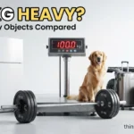 100 kg Heavy? 10 Everyday Objects That Weigh About 100 Kilograms
