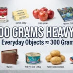 300 Grams Heavy? 14 Everyday Objects That Weigh About 300 Grams