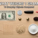 1 Gram Heavy? 13 Common Everyday Objects That Weigh About 1 Gram